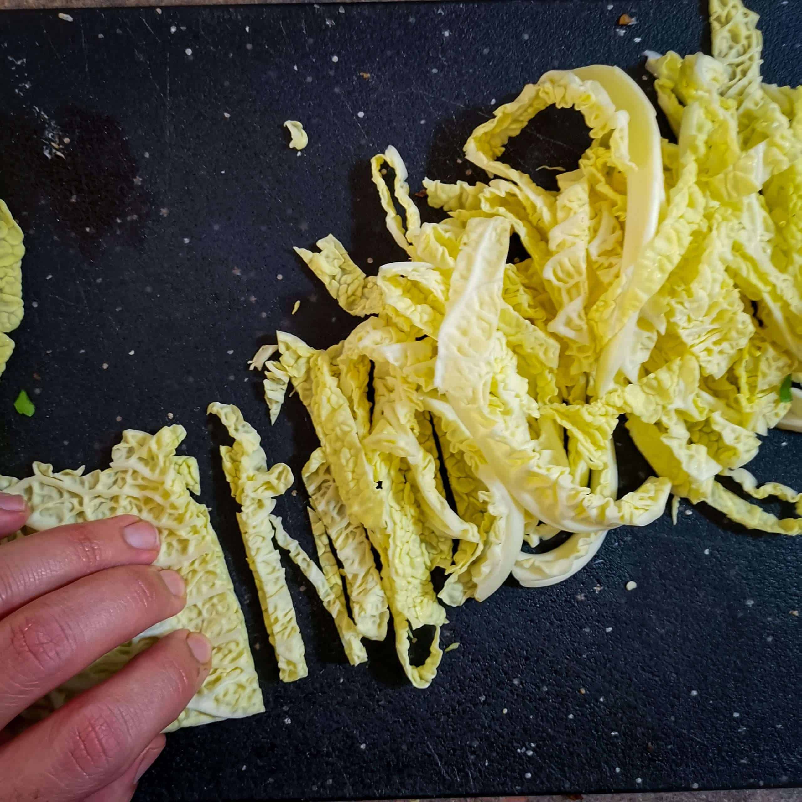 Savoy cabbage leaf sliced into noodles