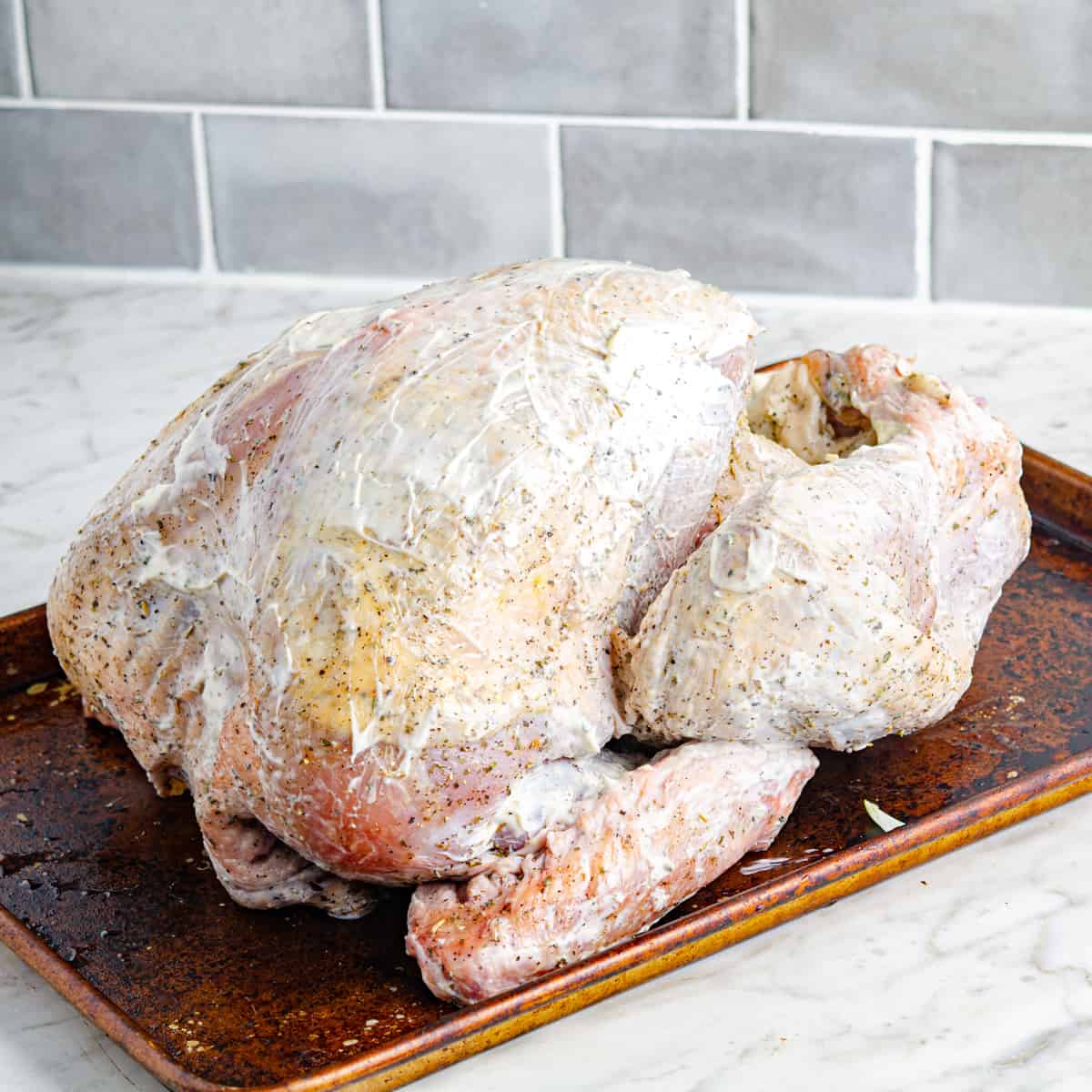 A raw dry brined turkey covered in mayo on a tray