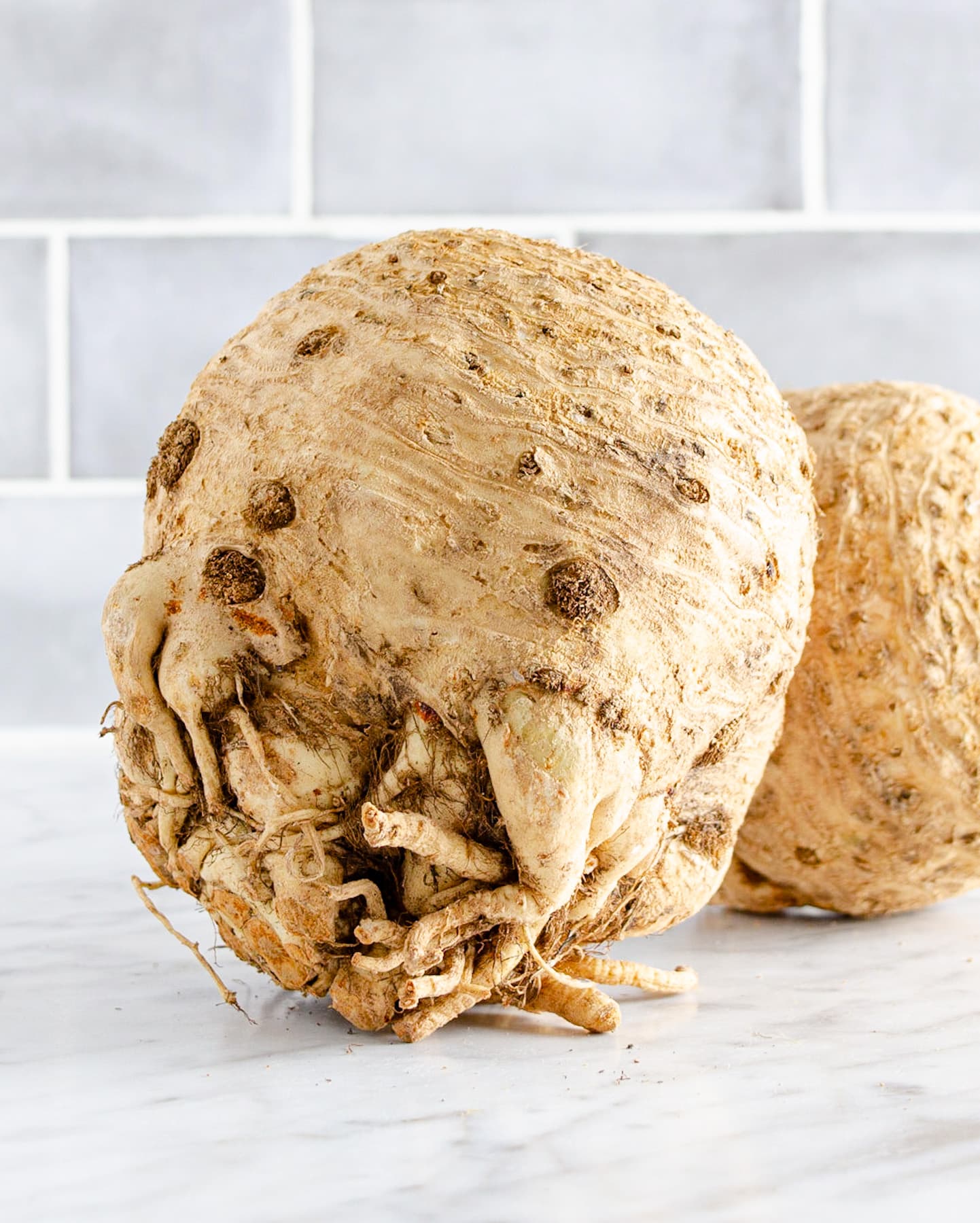 A whole unpeeled celeriac (celery root) on a white marble surface.